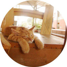 すがわらきみえ